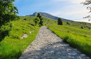 05 Partiti dal parcheggio d'Alpe Arera seguiamo per breve tratto la stradetta con vista in Arera,